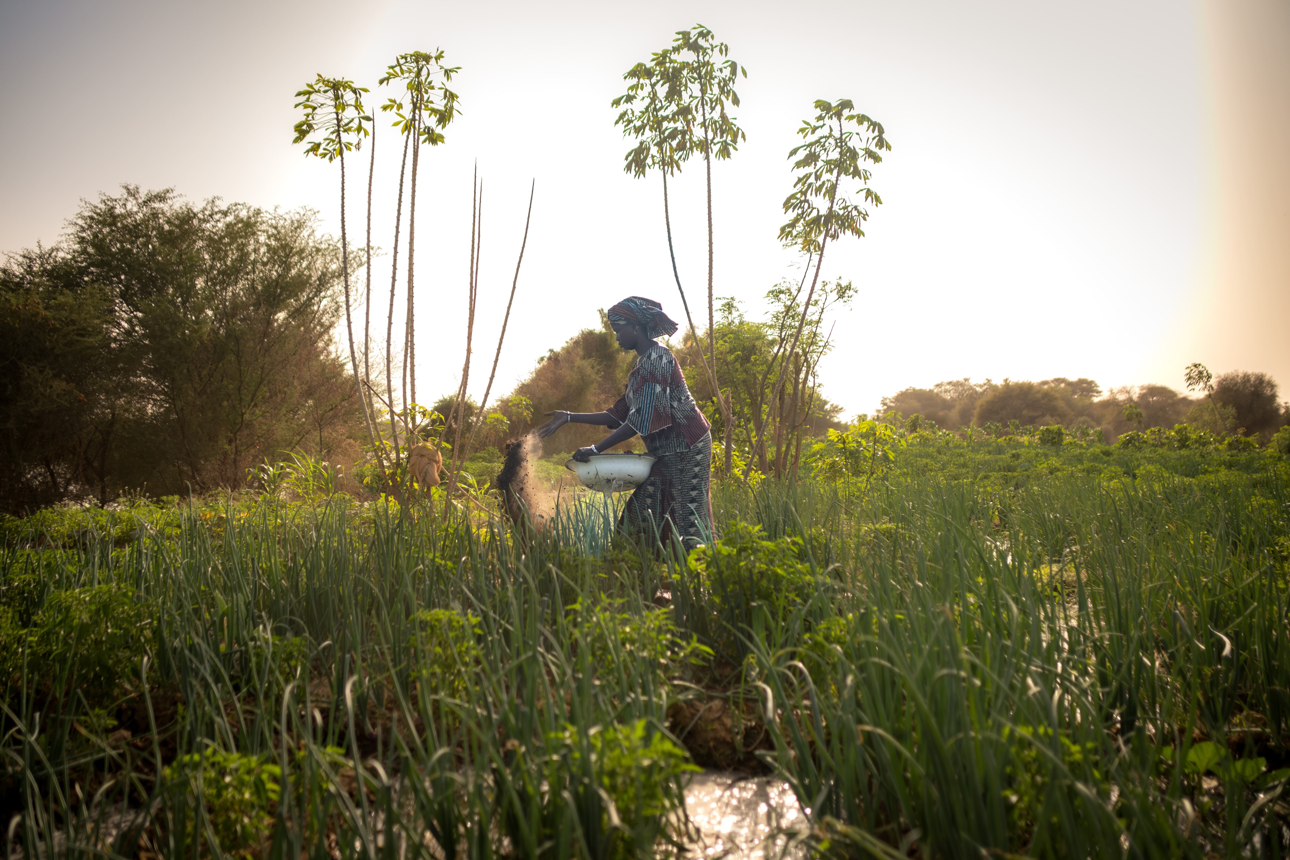 Senegal es uno de los países donde presta ayuda internacional la Coordinadora Valenciana de ONG para el Desarrollo.