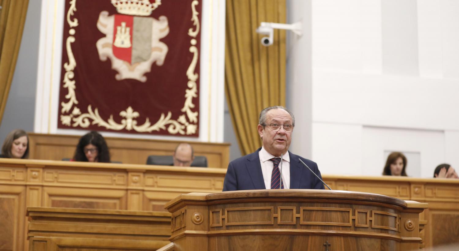 RUIZ MOLINA PLENO CORTES