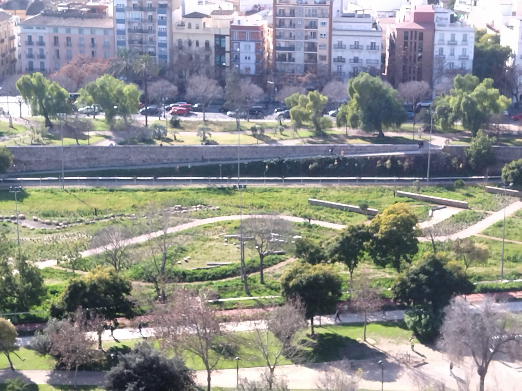 El nuevo Jardín de Polinizadores de València está situado en el tramo VI del Jardín del Túria, frente a las Torres de Serranos, y ha sido concebido para favorecer la presencia de fauna en general.
