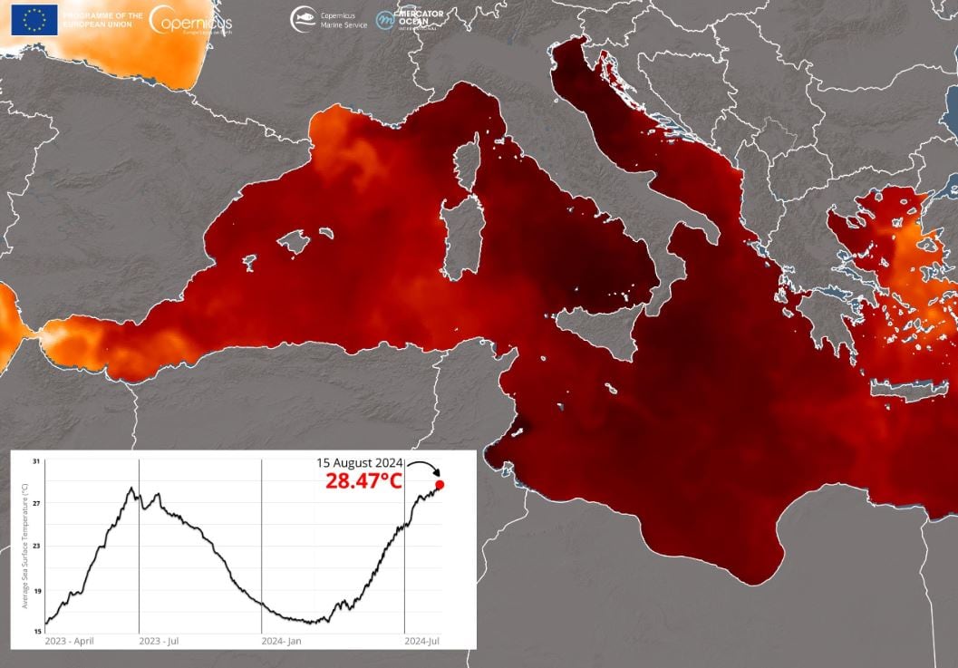 Las altas temperaturas alcanzan un nuevo récord en el Mar Mediterráneo