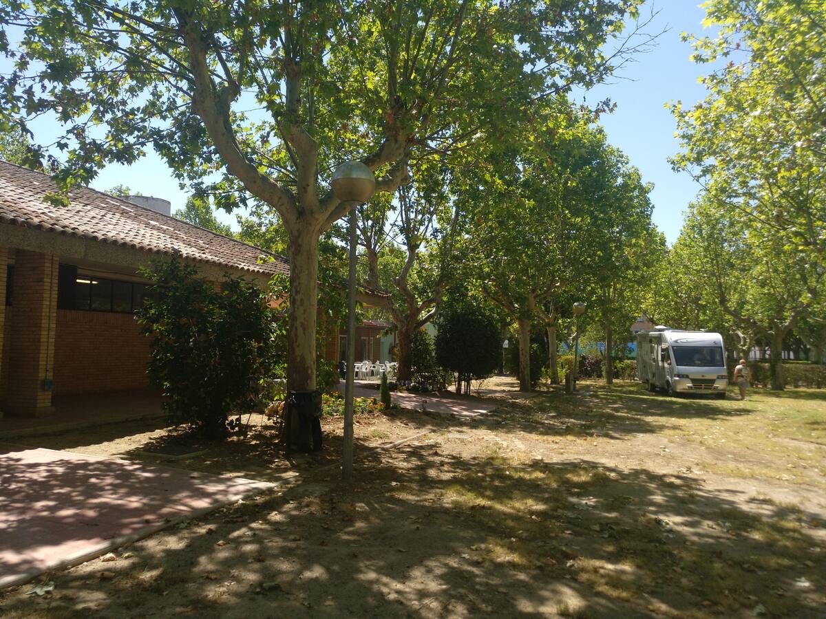 Casi 100.000 euros para obras de acondicionamiento de vestuarios y otros espacios del campin San Jorge