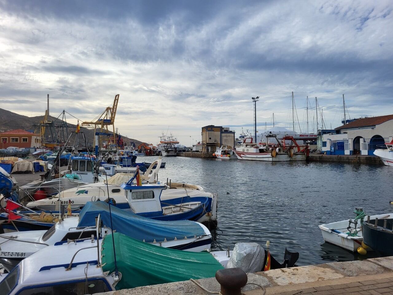 Cofradía de Pescadores de Cartagena