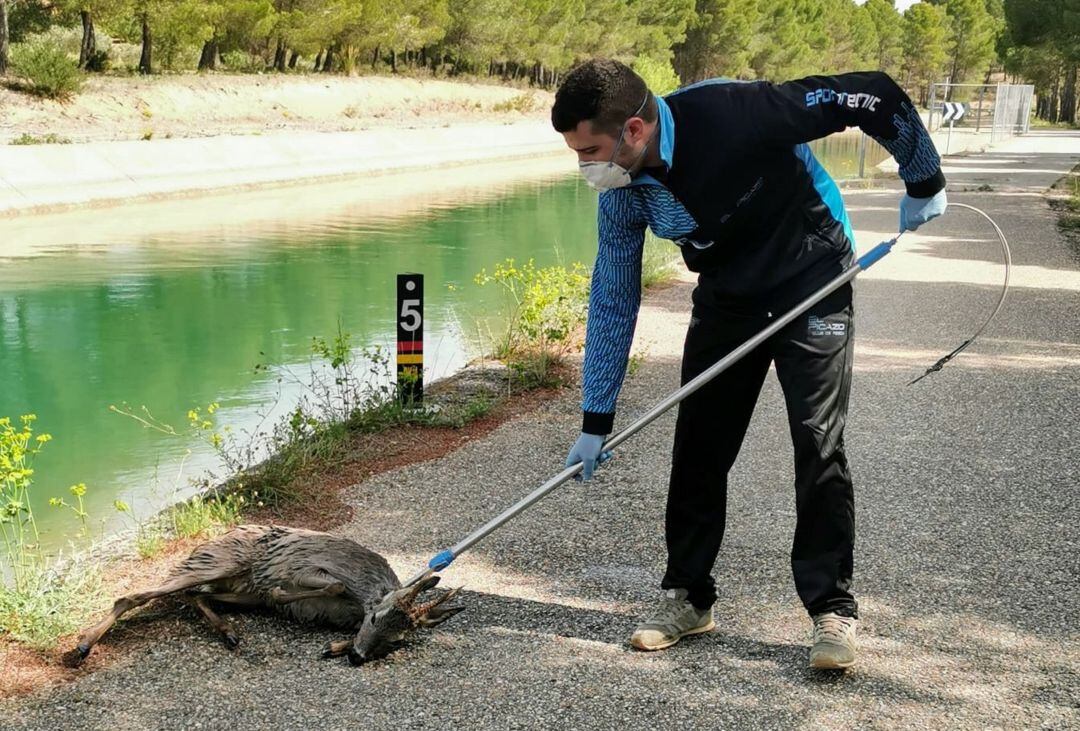 Miguel Huerta tras rescatar a un corzo del canal del trasvase Tajo-Segura a su paso por El Picazo (Cuenca).