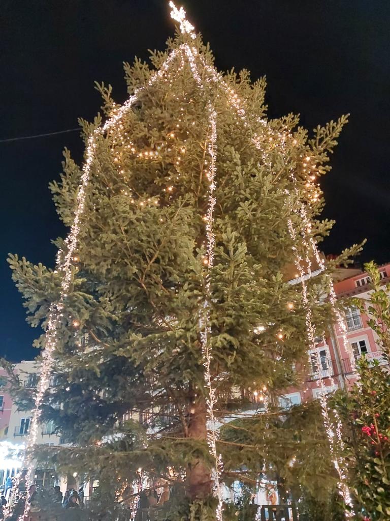 El Árbol de Navidad instalado en la Plaza mayor de Burgos se inauguró con una iluminación incompleta