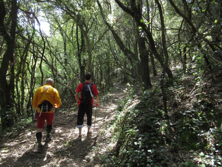 Dos caminadors pel massís