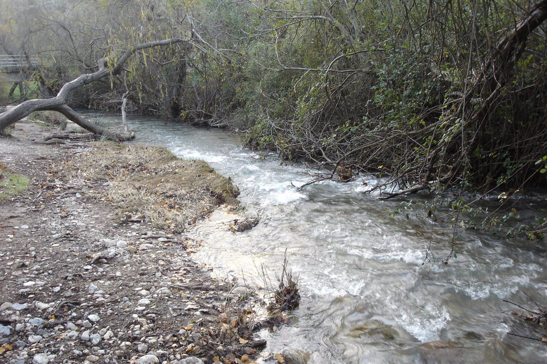 Un Río En La Sierra De Grazalema, En Cádiz. ARCHIVO