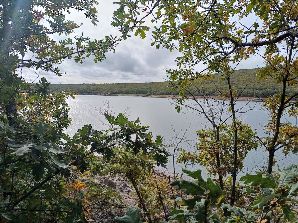 El embalse de la Cuerda del Pozo se encuentra al 68,99 por ciento de su capacidad