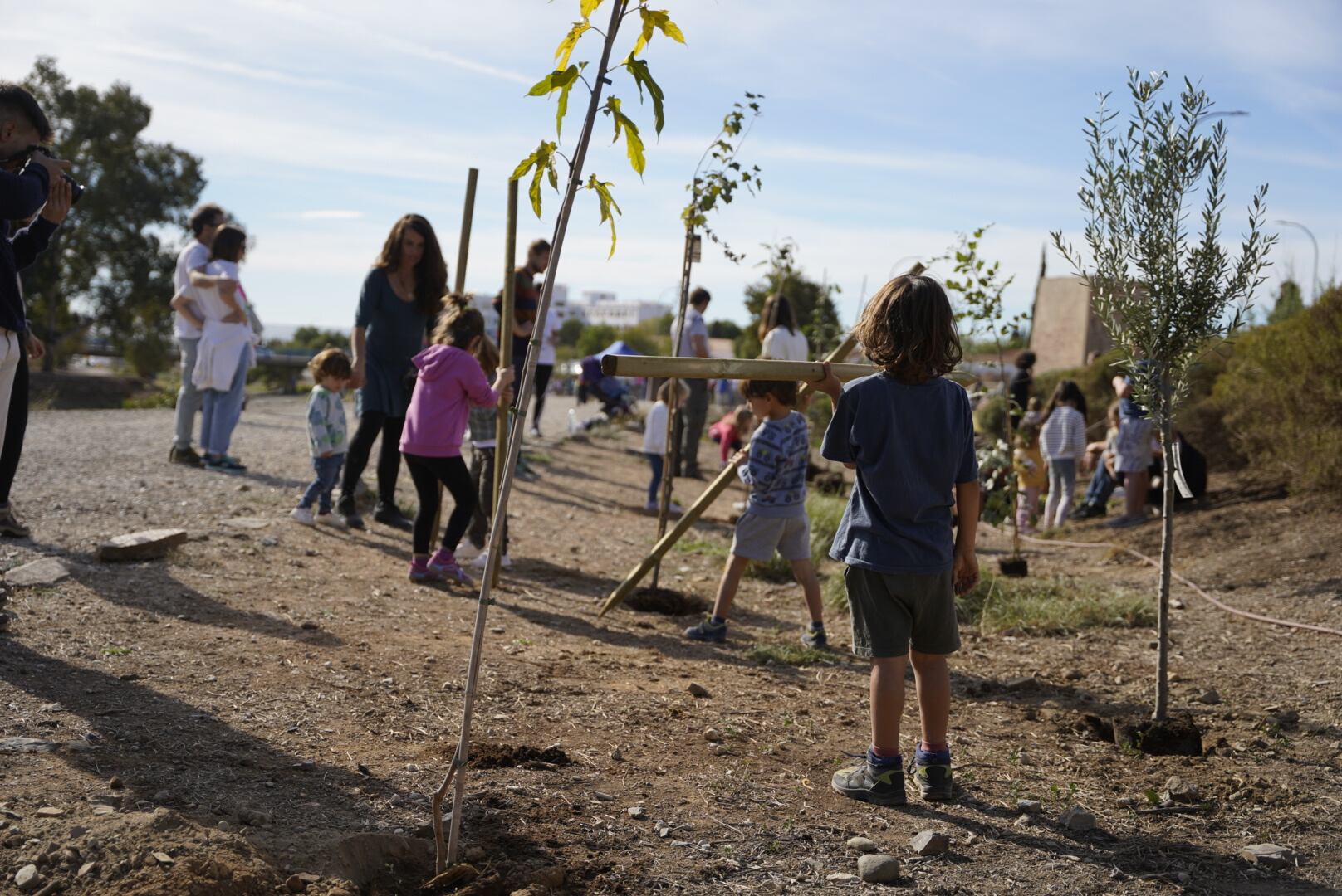 Plantaciones en Málaga