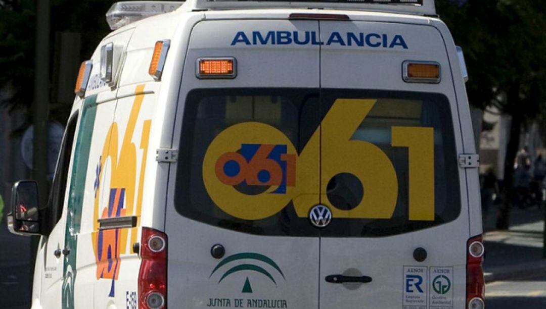 Los servicios de emergencia atendieron al menor en Manilva (Málaga)