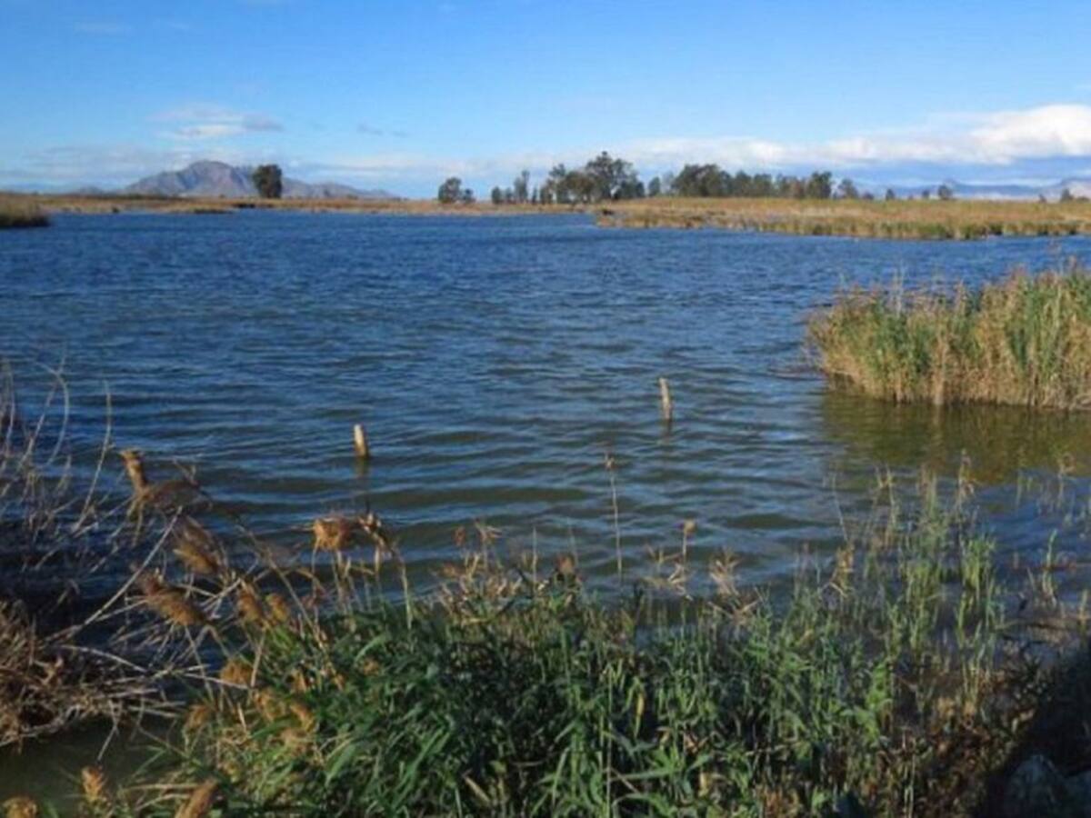 El Consell vuelve a ignorar la solicitud de información sobre la caza en el Hondo