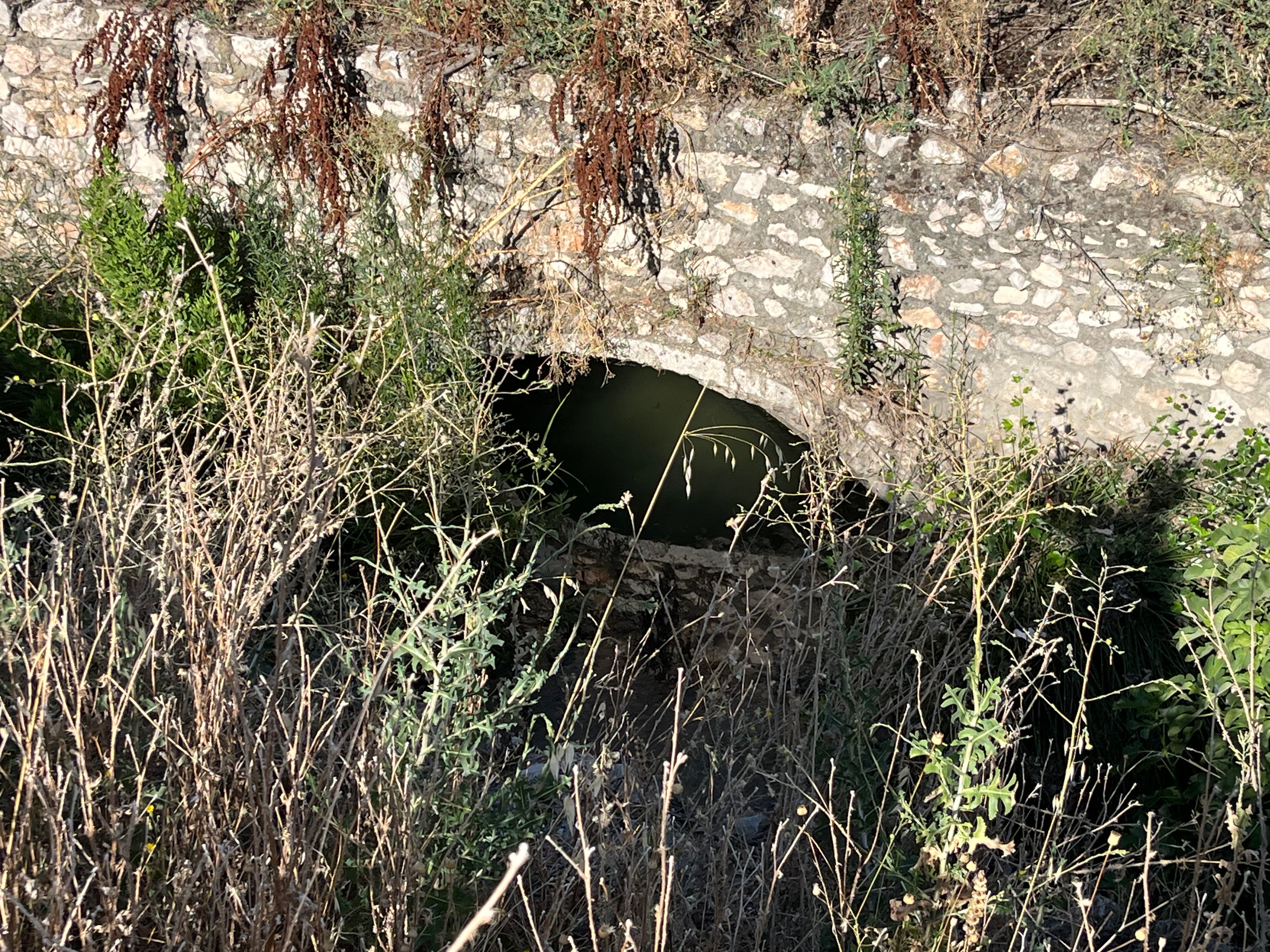 El arroyo a su paso por Pinto está colmado de maleza y basura