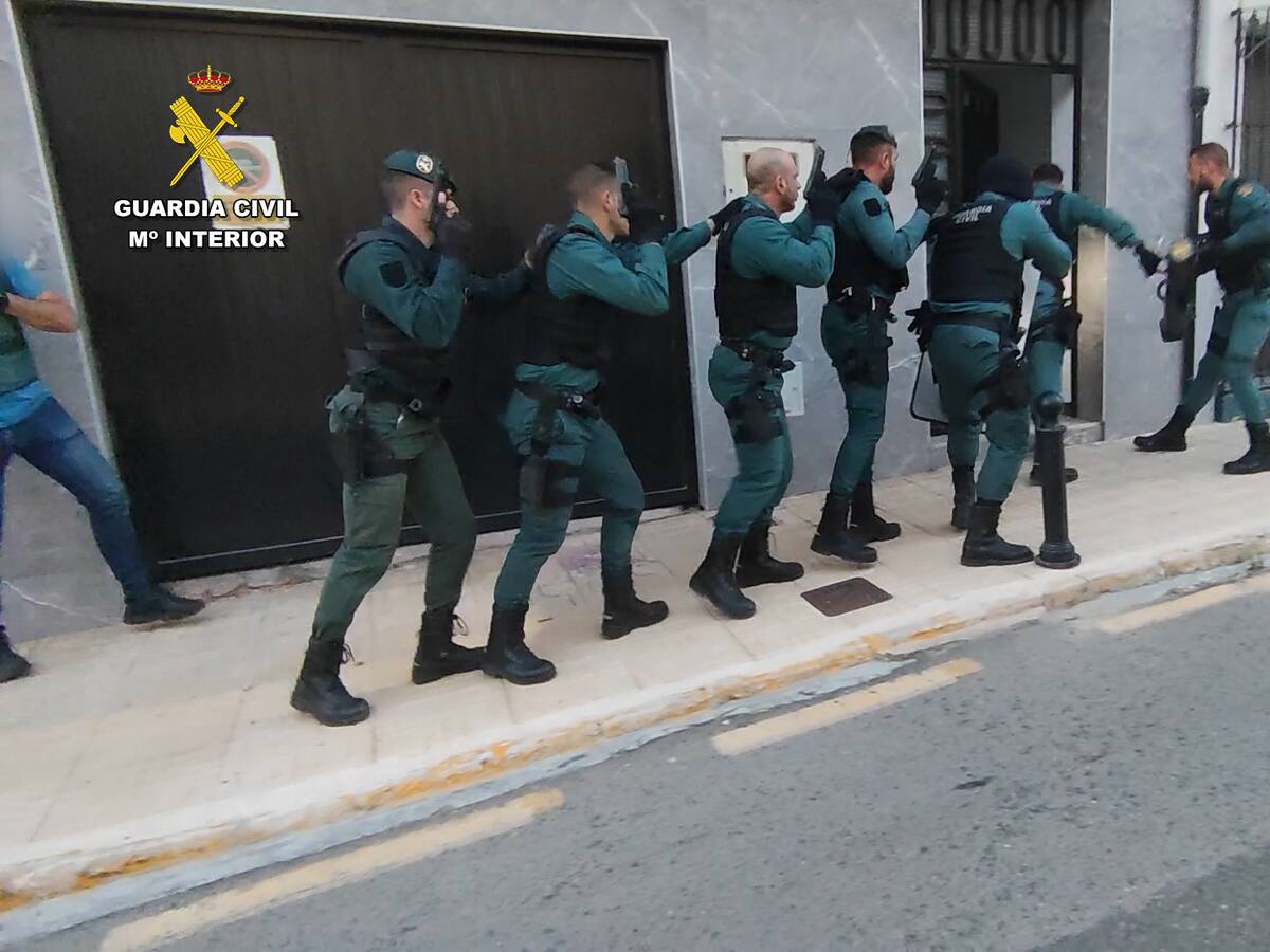 La Guardia Civil desmantela una plantación de marihuana, con más de 4.700 plantas, en La Safor