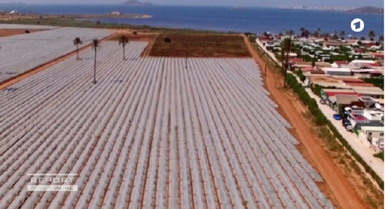 Una televisión alemana se hace eco de la degradación del Mar Menor y culpa a los agricultores de contaminarlo