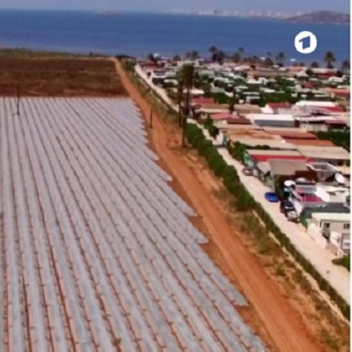 El asesor jurídico de Agricultura y Medio Ambiente arremete contra la Consejería y defiende su profesionalidad por la sentencia del TSJ