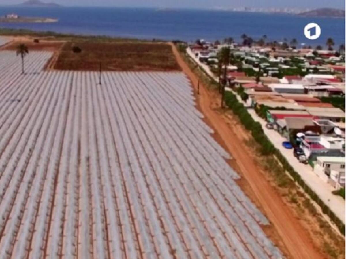 Una televisión alemana se hace eco de la degradación del Mar Menor y culpa a los agricultores de contaminarlo