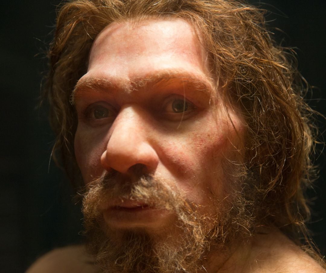 ¿Quién pudo matar al último neandertal?