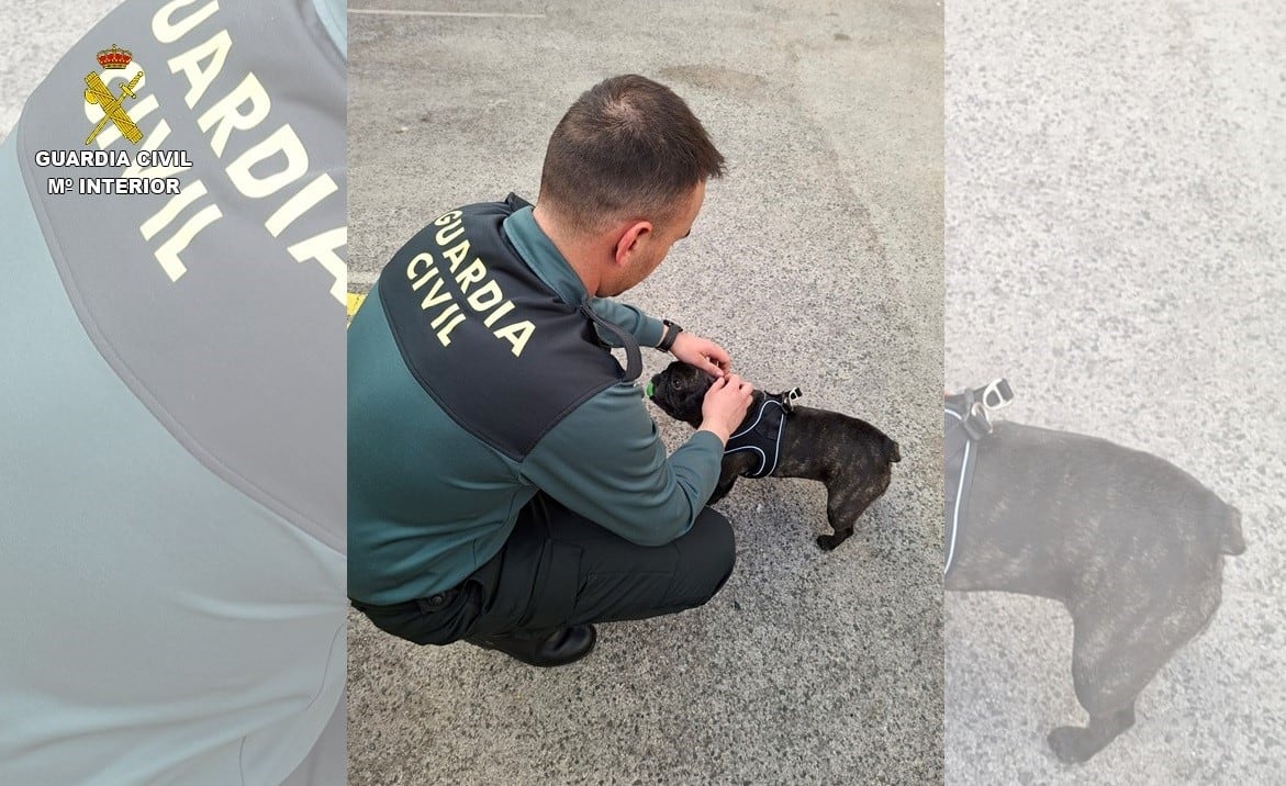 Agente de la Guardia Civil con un cachorro rescatado