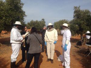 Una escena de la grabacion del reportaje Urban Beekeeping en Villarejo del Salvanés, en madrid.