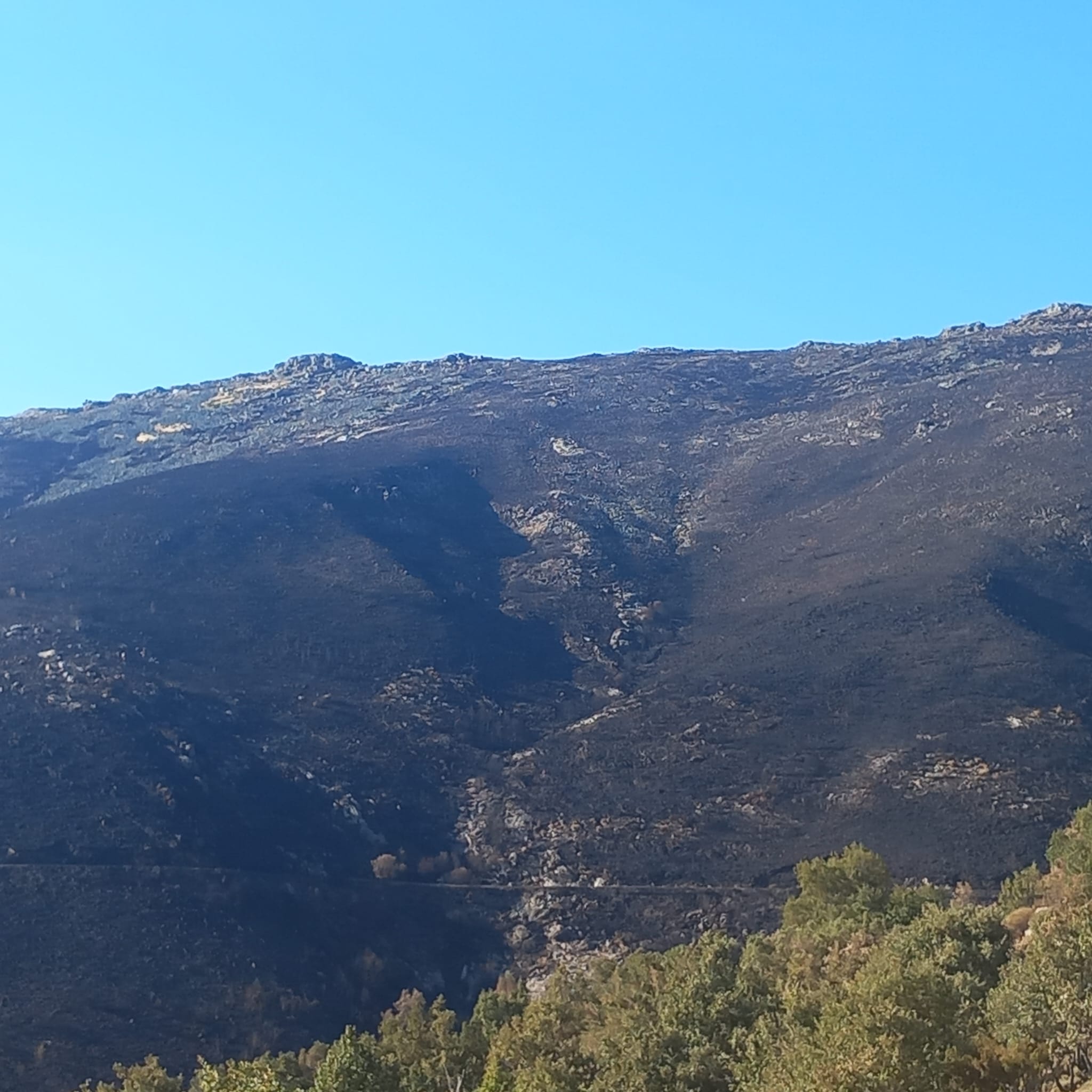 Desde el Puerto de Honduras se ve la cota a la que llegó el fuego