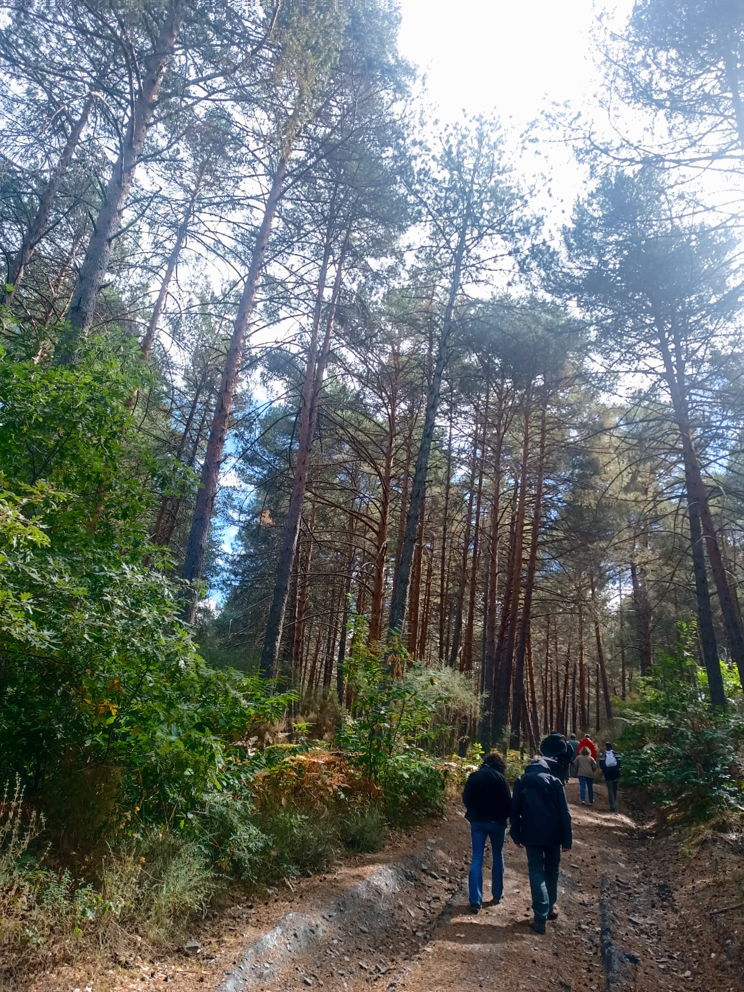 Los técnicos visitando la zona de Vega de Espinareda