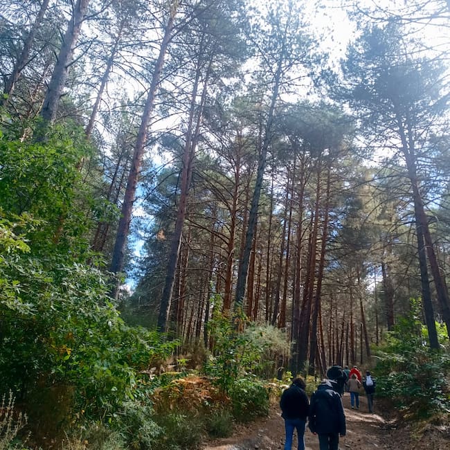 Los técnicos visitando la zona de Vega de Espinareda