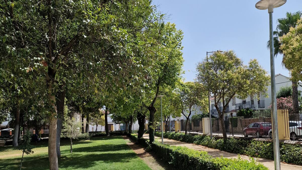 Baeza cierra sus parques por el aviso amarillo por fuertes rachas de viento