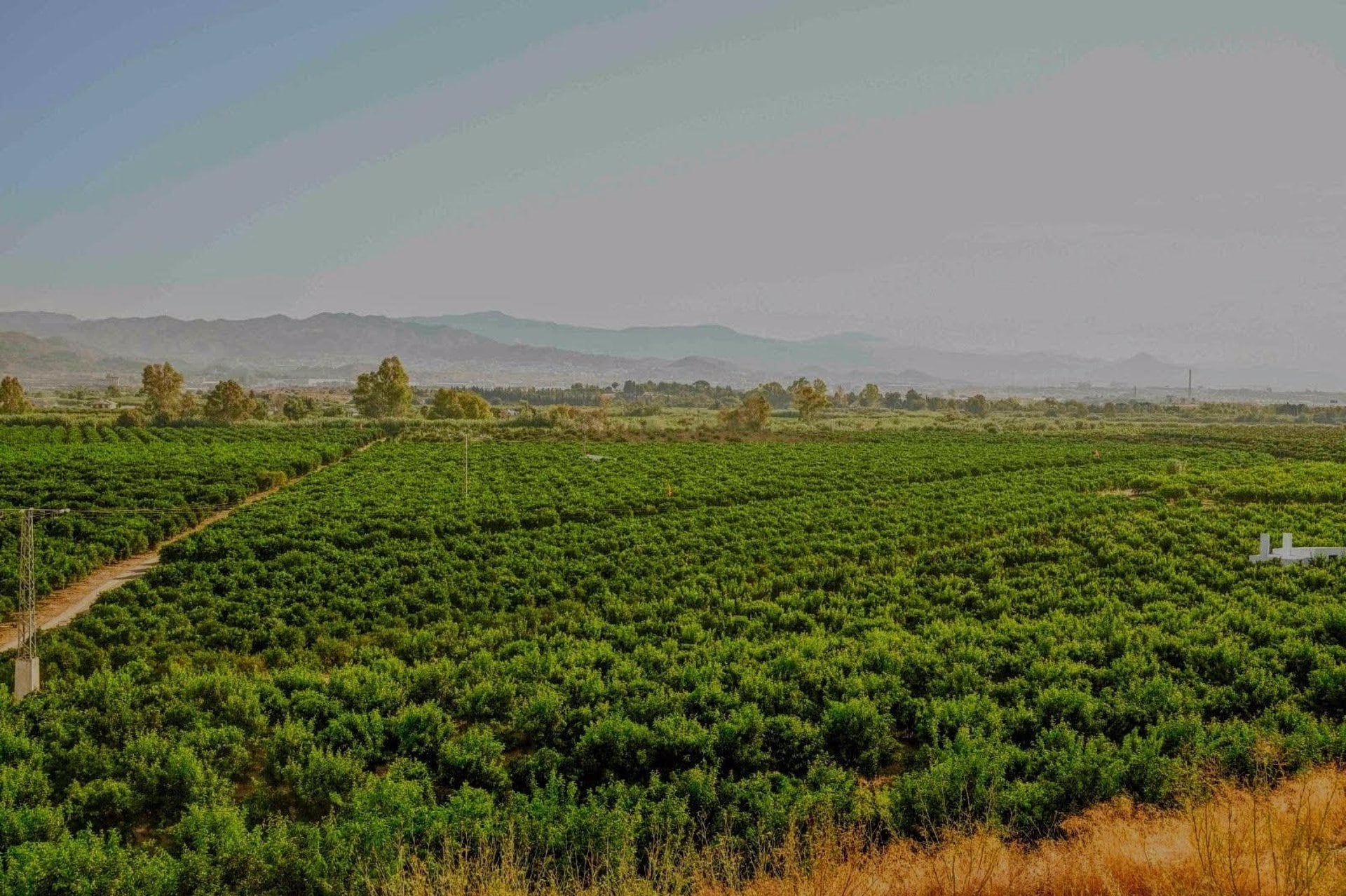 Vista de la Vega de Mestazan