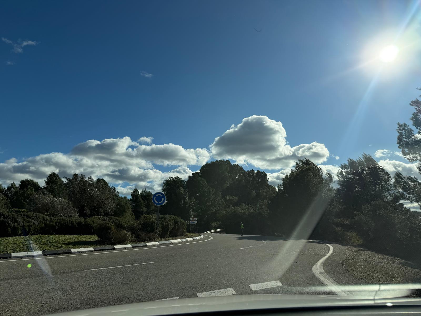Las intensas rachas de viento provocaron este mediodía la caída de un árbol de grandes dimensiones en el acceso de la CV-620 a la CV-62, en Montaverner,