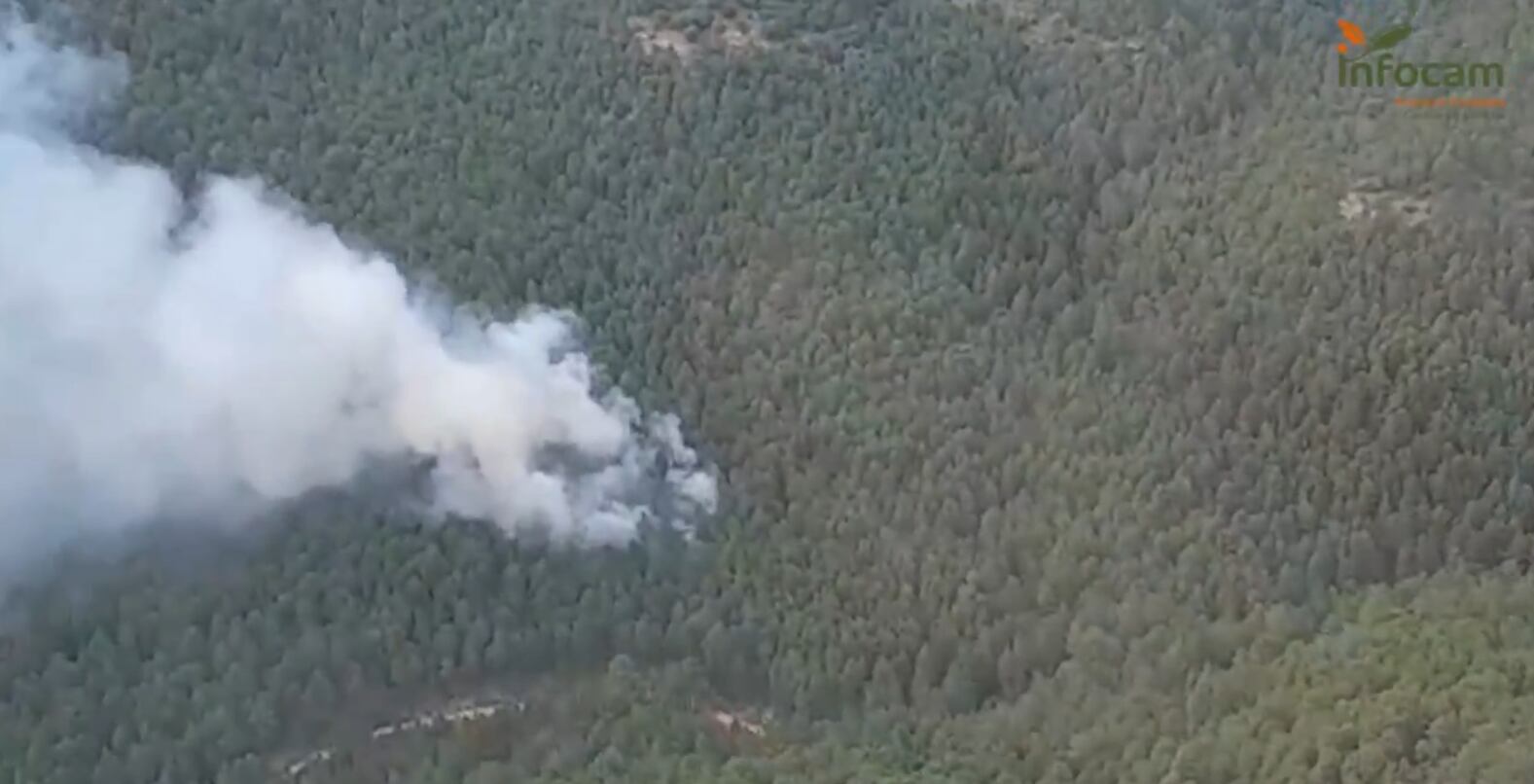 Incendio forestal en Cañizares (Cuenca).