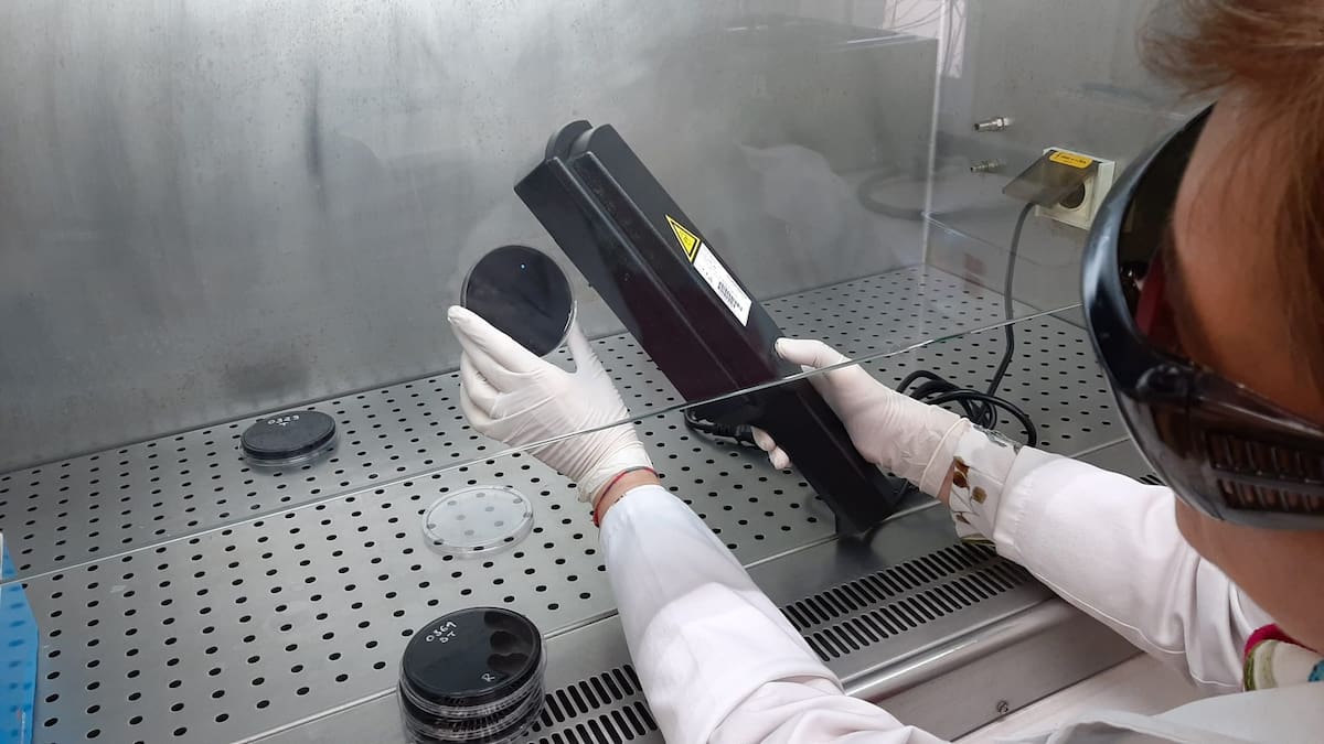 La Xunta impulsa un proyecto de análisis y vigilancia de la legionela para evaluar su incidencia en Galicia