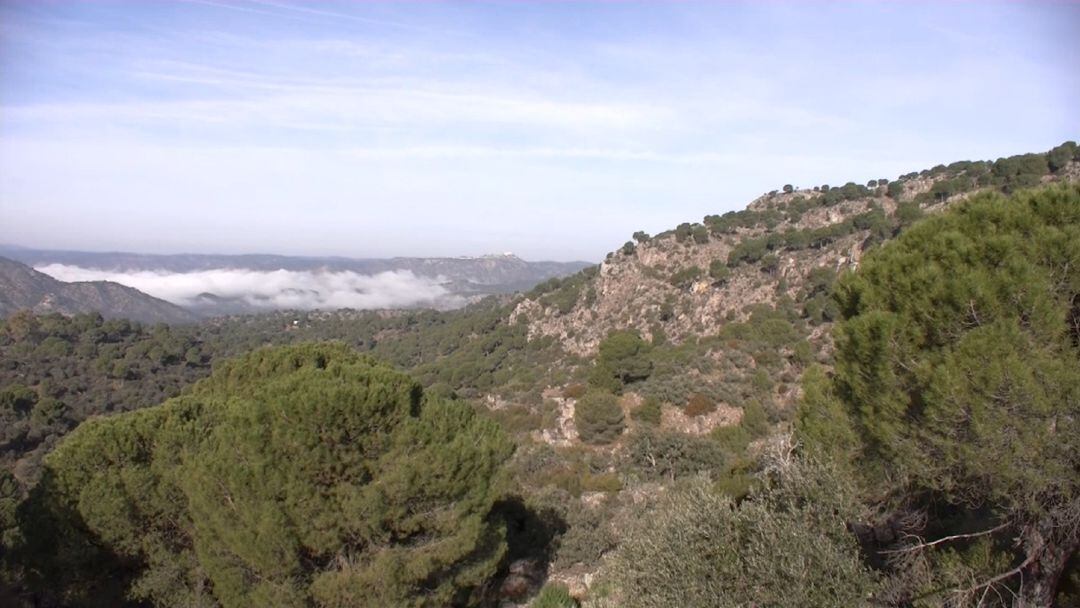 Hasta el 15 de octubre está activada la alarma por alto riesgo de incendios en sierras y parques naturales.