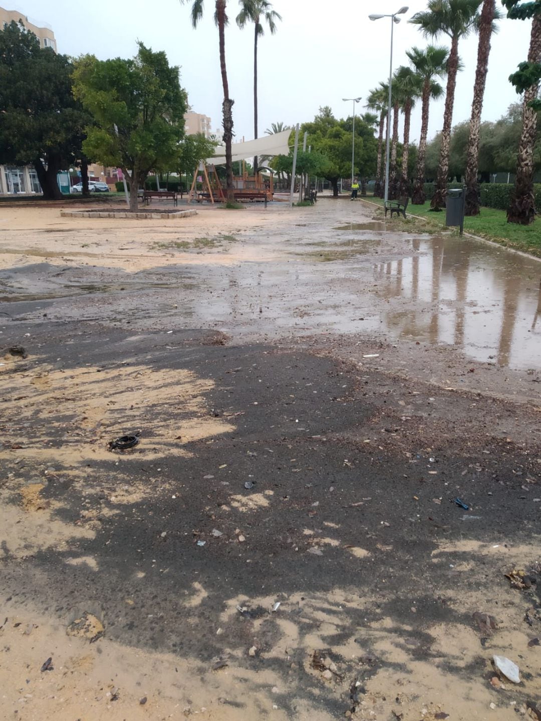 Imagen que muestra los lodos fecales que han ido a parar al parque Joan Fuster, tras las lluvias de los últimos días.