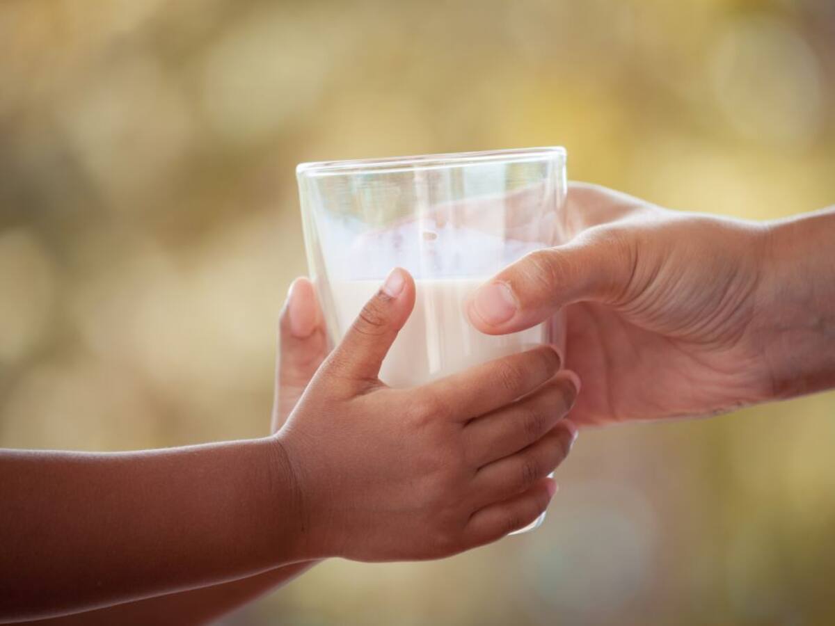 UPA Palencia dona a Cruz Roja 500 litros de leche y 500 cuñas de queso