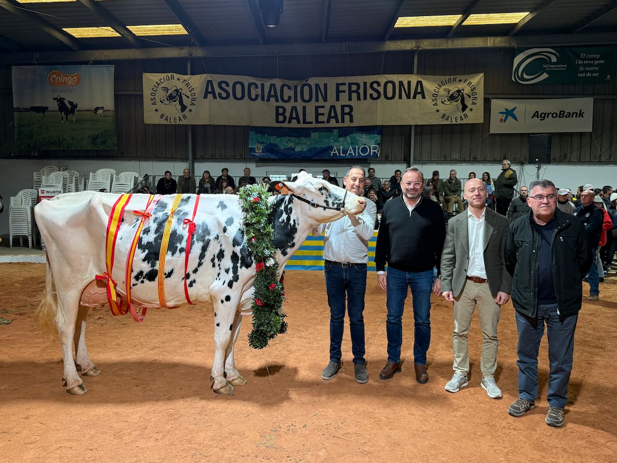 Binillubet Doberman Princes es corona com a Gran Vaca Campiona