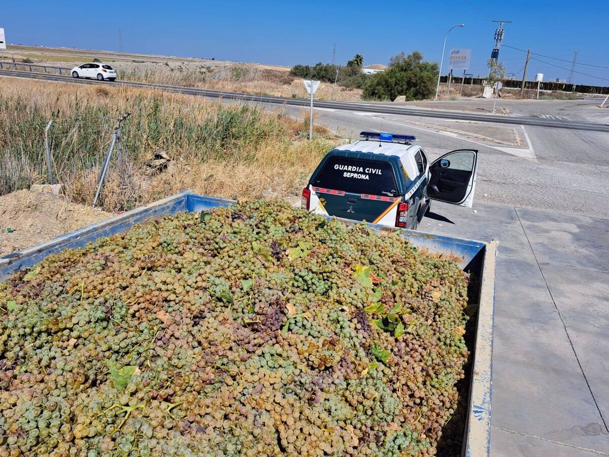 Intervienen casi 4.000 litros de vino y 3.000 kilos de uva externos a la vendimia en el Marco de Jerez