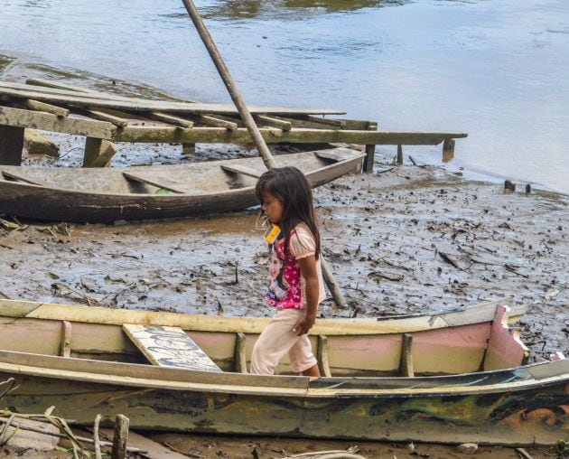 Por el momento tratarán de solucionar parte del problema en el Amazonas. Próximamente será en Madagascar.