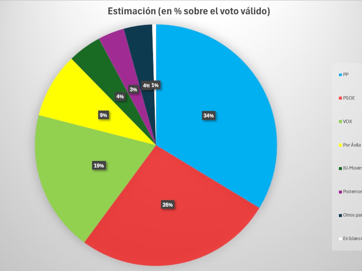 Sondeo preelectoral del CIS: Vox podría lograr un escaño más y XÁvila podría quedarse fuera