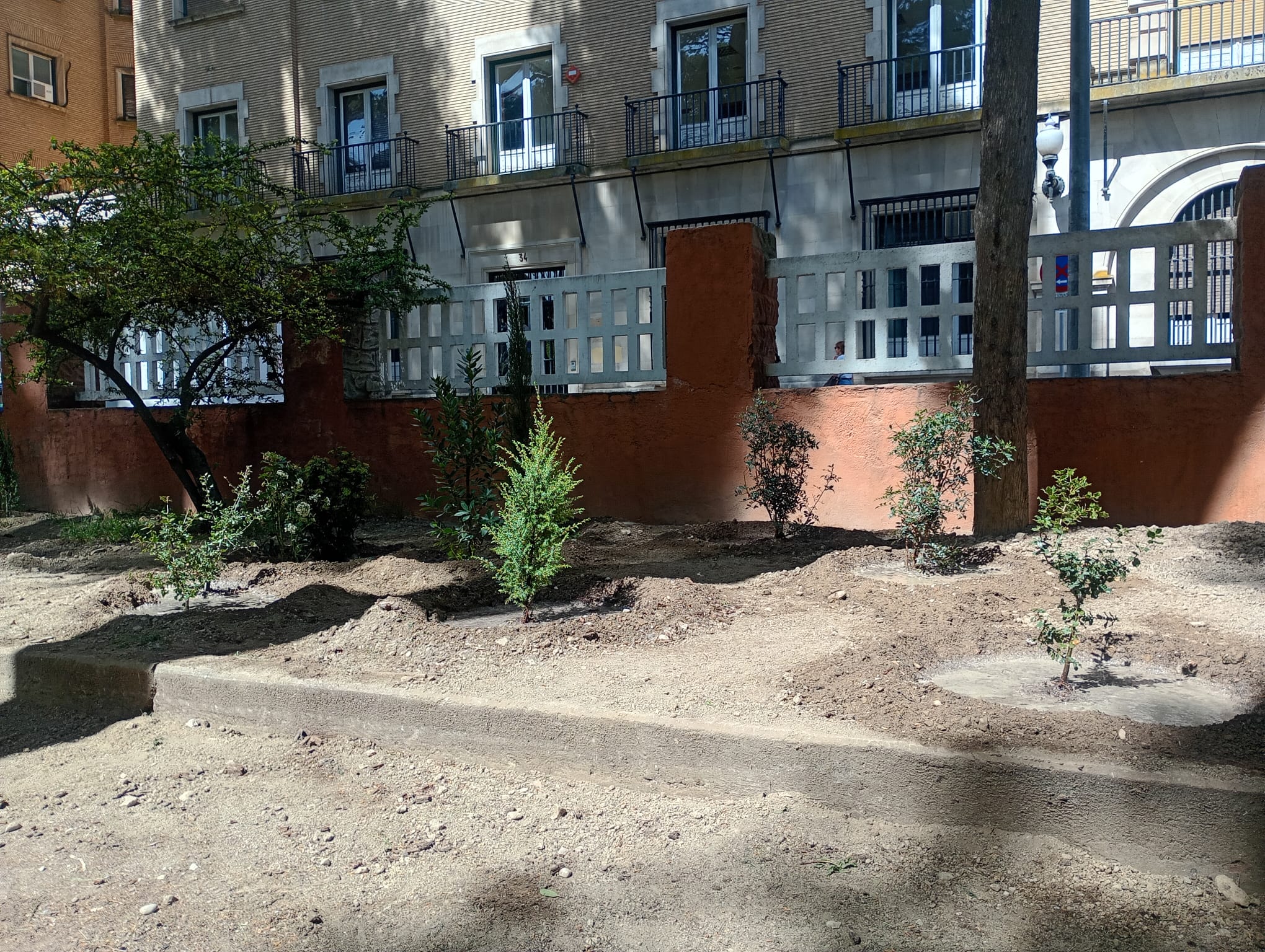 Plantación de arbustos en el parque Miguel Servet de Huesca