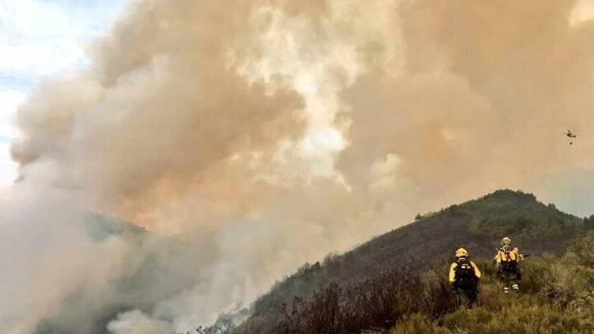 2.000 ovejas y 200 personas para salvar un pueblo de las llamas: vecinos y voluntarios se organizan en Valverde de la Sierra (León)