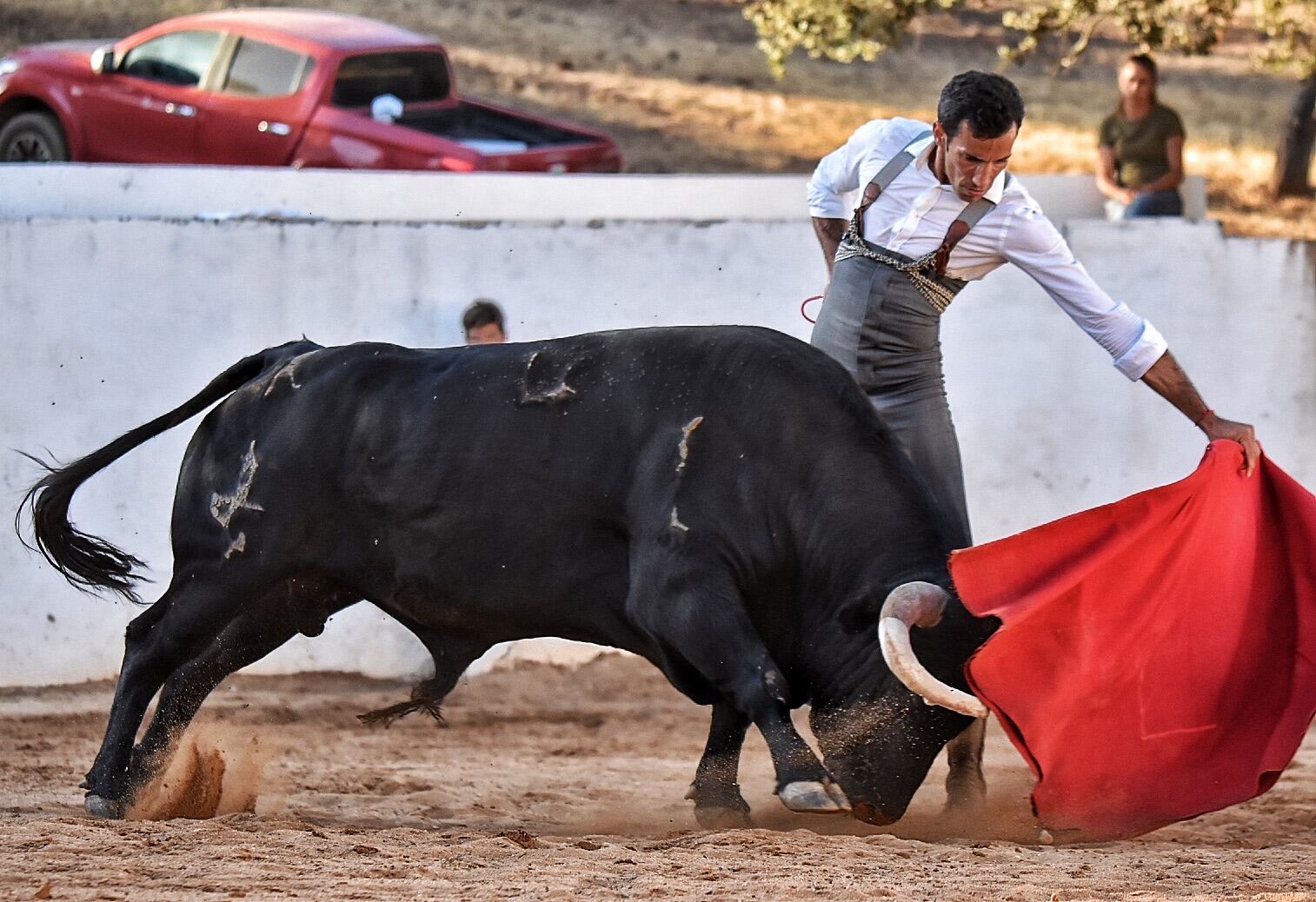 David de Miranda, toreando al natural en la plaza de tientas