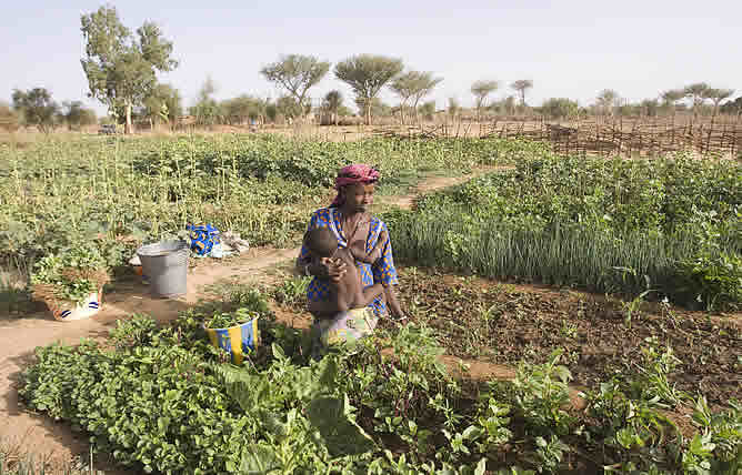 Una mujer con su pequeño hijo en brazos trabaja en una huerta que gestionan un grupo de mujeres de la zona, dentro de un proyecto de Cruz Roja del Programa de Seguridad Alimentaria  en Borginde en la provincia de Soum al norte de Burkina Faso.