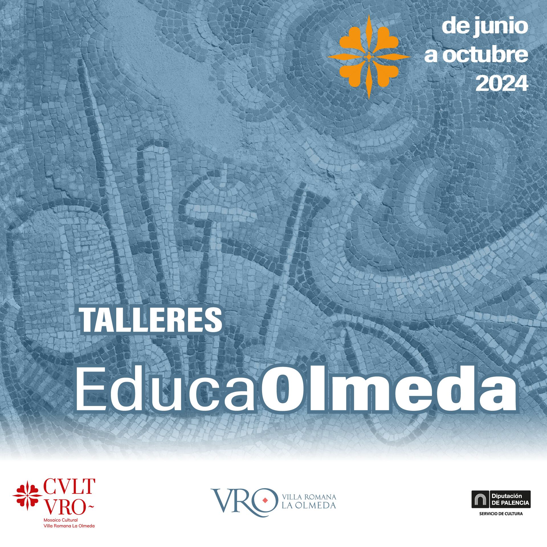 EducaOlmeda este 2024