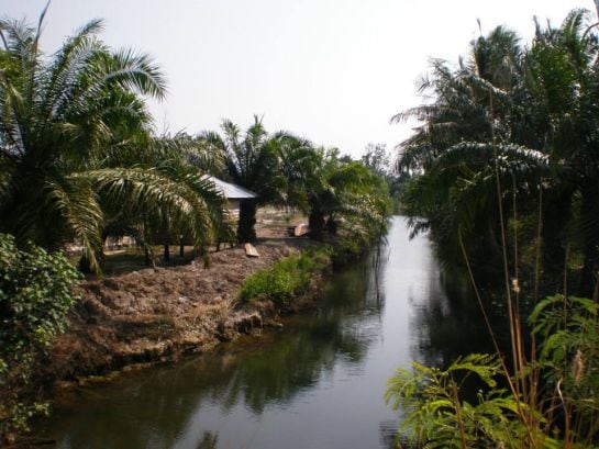 Ignacio Dean Mouliáa