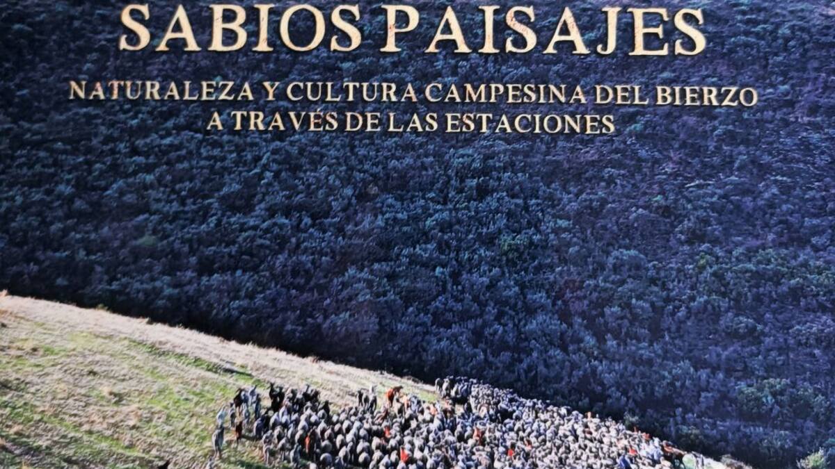La piel del Bierzo, palmo a palmo