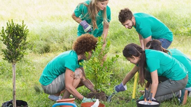 "Los jóvenes no se animan": el programa de cooperación vasco sufre una caída de inscripciones