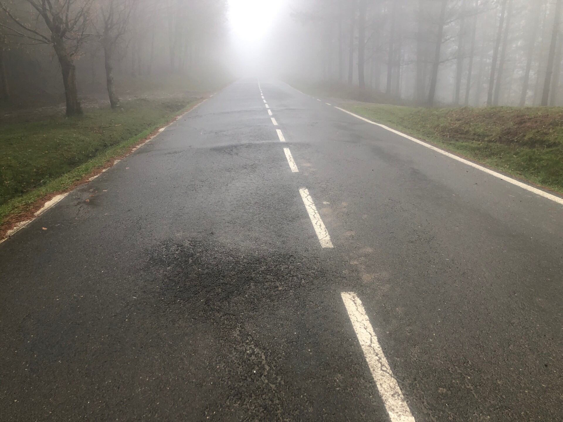 Baches en la actualidad.