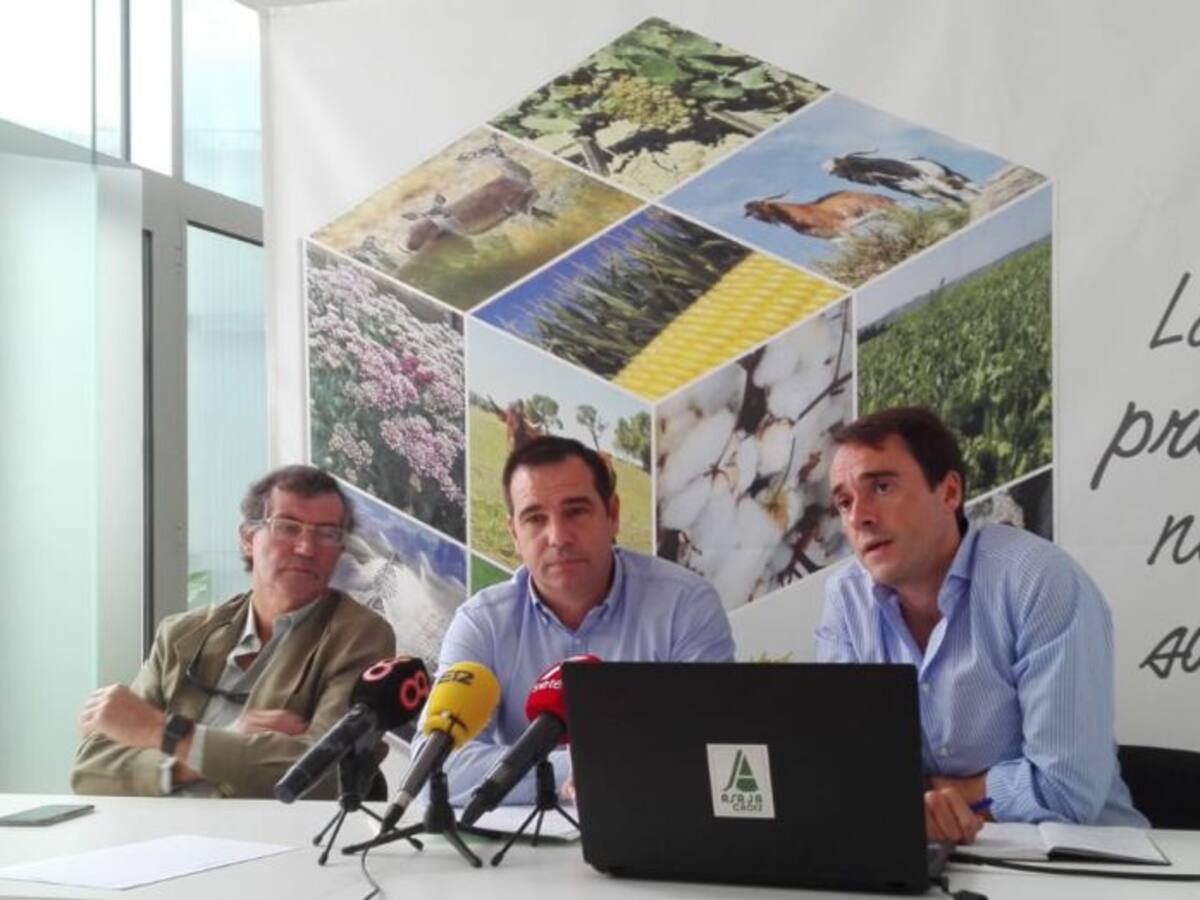 ASAJA exige la limpieza de los arroyos para evitar inundaciones en el campo