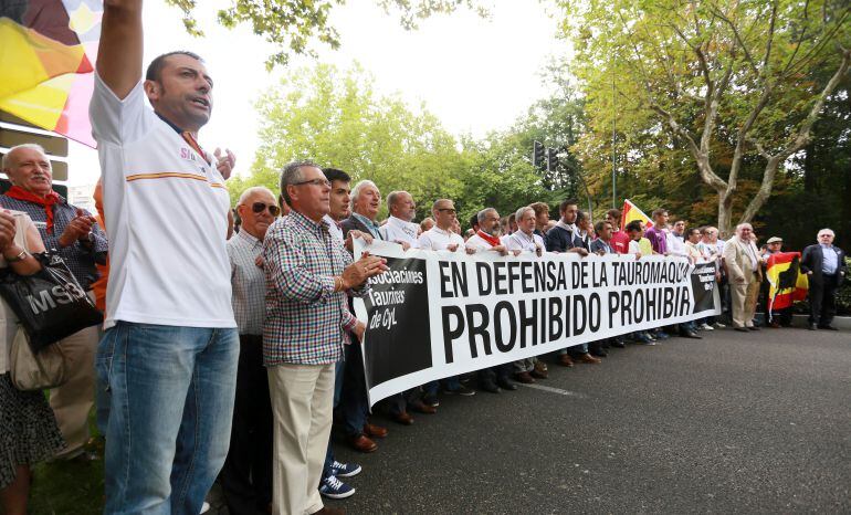 Imagen de archivo de una manifestación celebrada en Valladolid a favor de la tauromaquia
