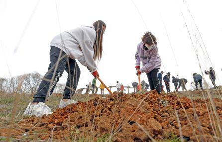 Plantación de árboles organizada por Life Terra en otro municipio. 