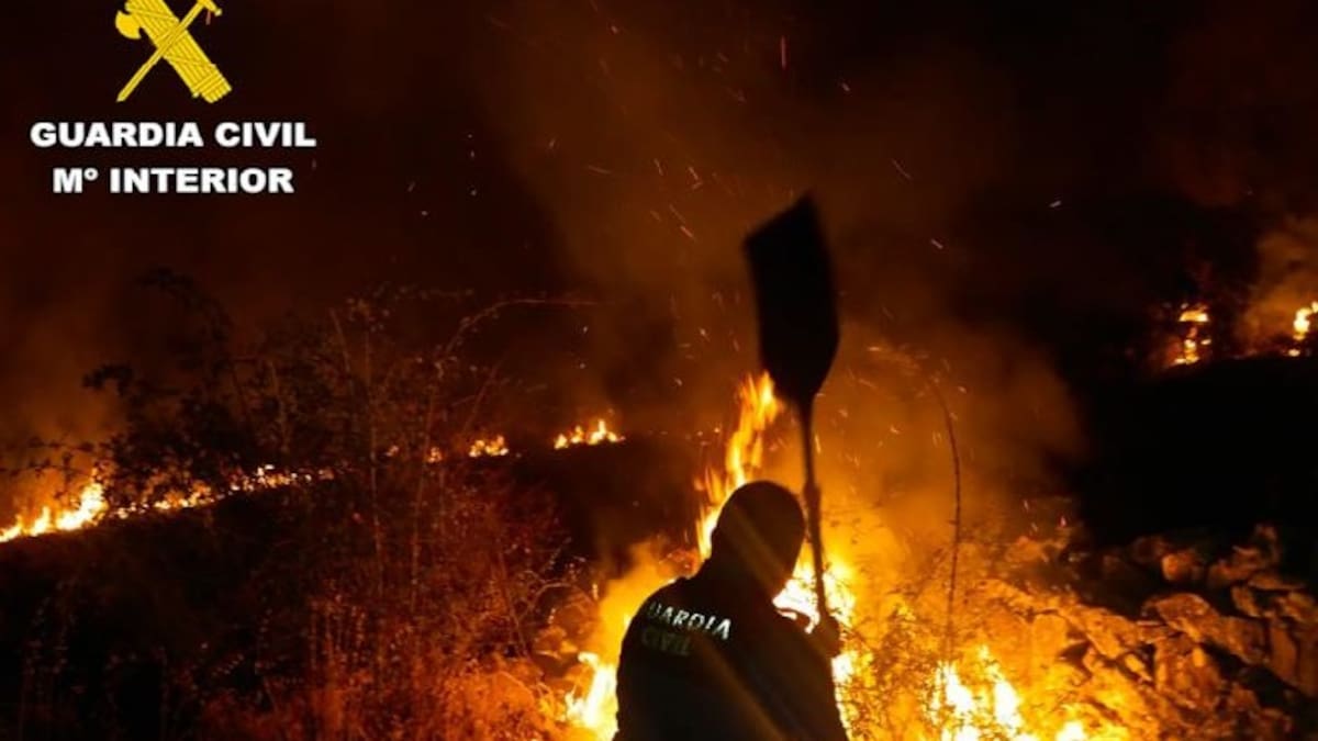 Provocaba incendios forestales y trabajaba en su extinción: detenido un vecino de Santa Cruz del Valle por prender tres fuegos en el Tiétar